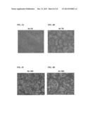 Differentiation of Human Embryonic Stem Cells into Pancreatic Endocrine     Cells diagram and image
