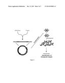 ENABLING THE USE OF LONG dsRNA FOR GENE TARGETING IN MAMMALIAN AND OTHER     SELECTED ANIMAL CELLS diagram and image