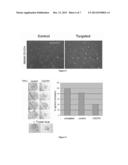 ENABLING THE USE OF LONG dsRNA FOR GENE TARGETING IN MAMMALIAN AND OTHER     SELECTED ANIMAL CELLS diagram and image