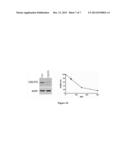 ENABLING THE USE OF LONG dsRNA FOR GENE TARGETING IN MAMMALIAN AND OTHER     SELECTED ANIMAL CELLS diagram and image