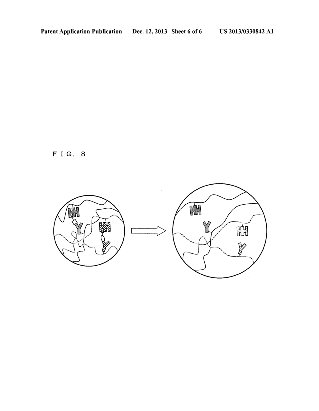 MULTIPLE SUBSTANCES-RESPONSIVE GEL, METHOD FOR PRODUCING SAME, AND     UTILIZATION OF SAME - diagram, schematic, and image 07