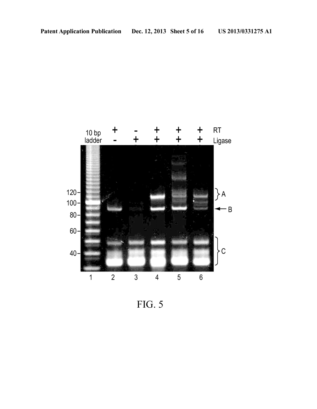 KITS FOR DETECTING RIBONUCLEIC ACID - diagram, schematic, and image 06