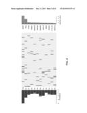 RECURRENT SPOP MUTATIONS IN PROSTATE CANCER diagram and image