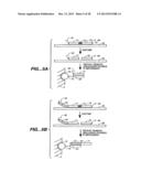 DETECTION OF NUCLEIC ACID REACTIONS ON BEAD ARRAYS diagram and image