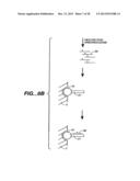 DETECTION OF NUCLEIC ACID REACTIONS ON BEAD ARRAYS diagram and image