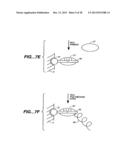 DETECTION OF NUCLEIC ACID REACTIONS ON BEAD ARRAYS diagram and image