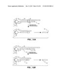 DETECTION OF NUCLEIC ACID REACTIONS ON BEAD ARRAYS diagram and image