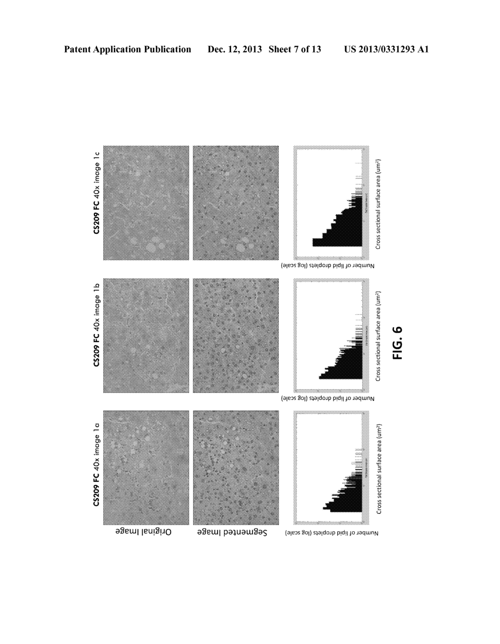 AUTOMATED HIGH-CONTENT IMAGE ANALYSIS SYSTEM AND METHODS AND USES THEREOF - diagram, schematic, and image 08