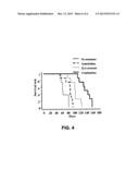 TARGETED CARGO PROTEIN COMBINATION THERAPY diagram and image