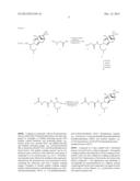 Proteasome Inhibitors diagram and image