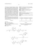 Proteasome Inhibitors diagram and image