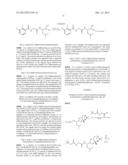 Proteasome Inhibitors diagram and image