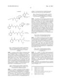 Proteasome Inhibitors diagram and image