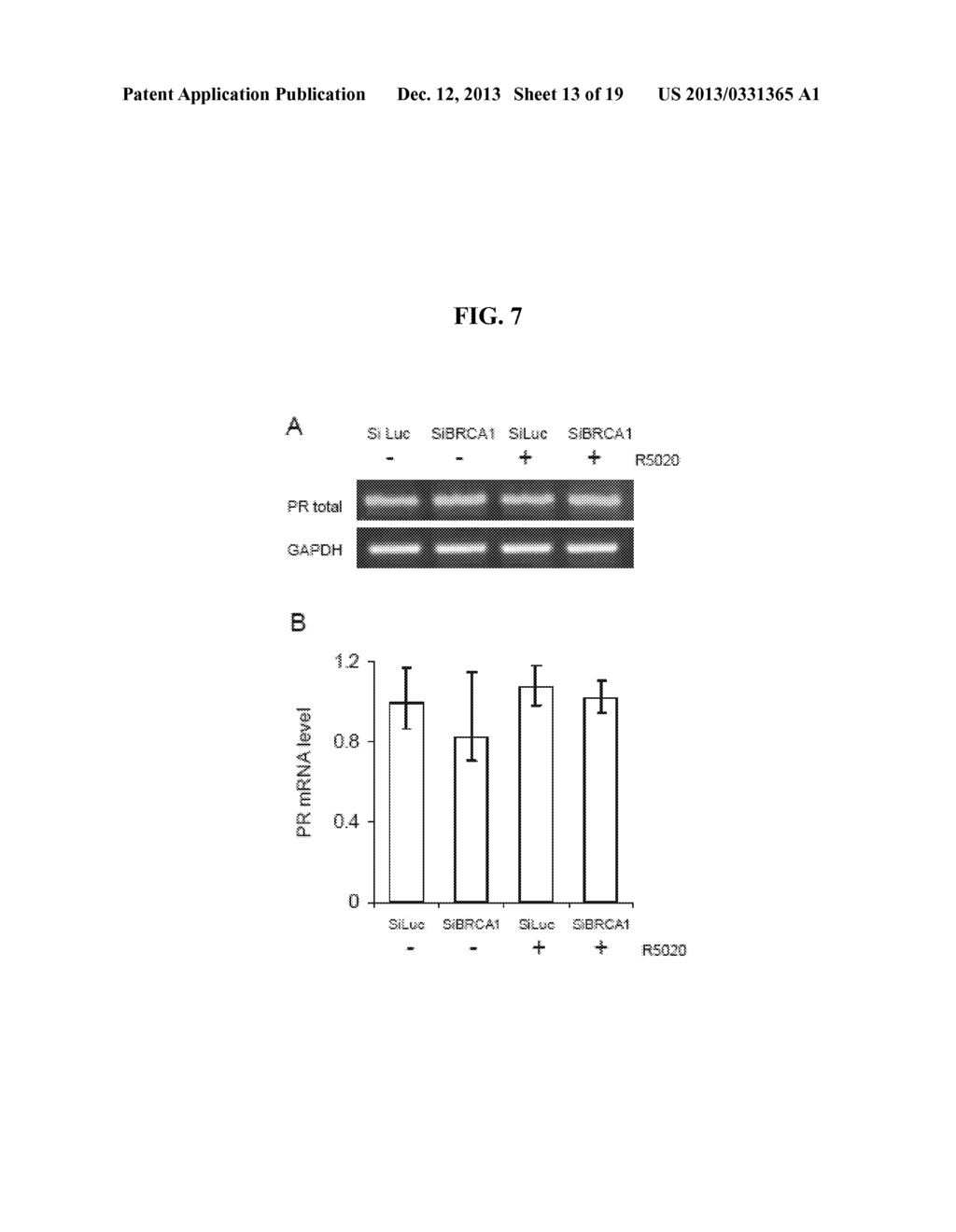 METHODS AND COMPOSITIONS FOR CANCER PREVENTION AND TREATMENT - diagram, schematic, and image 14