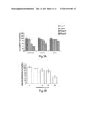 NITROFURAN COMPOUNDS FOR THE TREATMENT OF CANCER AND ANGIOGENESIS diagram and image