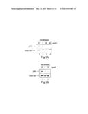 NITROFURAN COMPOUNDS FOR THE TREATMENT OF CANCER AND ANGIOGENESIS diagram and image