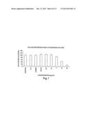 NITROFURAN COMPOUNDS FOR THE TREATMENT OF CANCER AND ANGIOGENESIS diagram and image