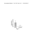 NITROFURAN COMPOUNDS FOR THE TREATMENT OF CANCER AND ANGIOGENESIS diagram and image