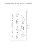 NITROFURAN COMPOUNDS FOR THE TREATMENT OF CANCER AND ANGIOGENESIS diagram and image