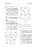 VIRAL POLYMERASE INHIBITORS diagram and image