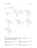 VIRAL POLYMERASE INHIBITORS diagram and image