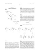 VIRAL POLYMERASE INHIBITORS diagram and image