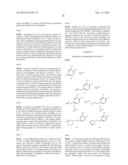 VIRAL POLYMERASE INHIBITORS diagram and image