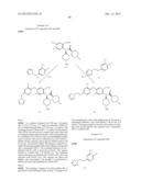 VIRAL POLYMERASE INHIBITORS diagram and image