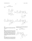 VIRAL POLYMERASE INHIBITORS diagram and image