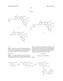 VIRAL POLYMERASE INHIBITORS diagram and image