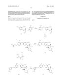 VIRAL POLYMERASE INHIBITORS diagram and image