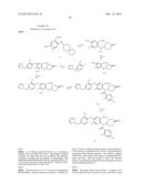 VIRAL POLYMERASE INHIBITORS diagram and image