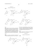 VIRAL POLYMERASE INHIBITORS diagram and image