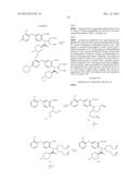 VIRAL POLYMERASE INHIBITORS diagram and image