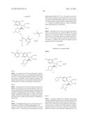 VIRAL POLYMERASE INHIBITORS diagram and image