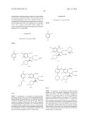 VIRAL POLYMERASE INHIBITORS diagram and image