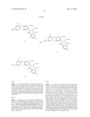 VIRAL POLYMERASE INHIBITORS diagram and image