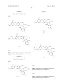 VIRAL POLYMERASE INHIBITORS diagram and image