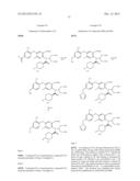 VIRAL POLYMERASE INHIBITORS diagram and image