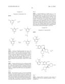 VIRAL POLYMERASE INHIBITORS diagram and image