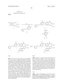 VIRAL POLYMERASE INHIBITORS diagram and image