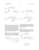 VIRAL POLYMERASE INHIBITORS diagram and image