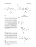 VIRAL POLYMERASE INHIBITORS diagram and image