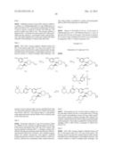 VIRAL POLYMERASE INHIBITORS diagram and image