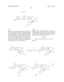 VIRAL POLYMERASE INHIBITORS diagram and image