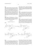 VIRAL POLYMERASE INHIBITORS diagram and image