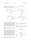 VIRAL POLYMERASE INHIBITORS diagram and image