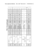 DEFENSIN-LIKE MOLECULES AS NOVEL ANTIMICROBIAL AGENTS diagram and image