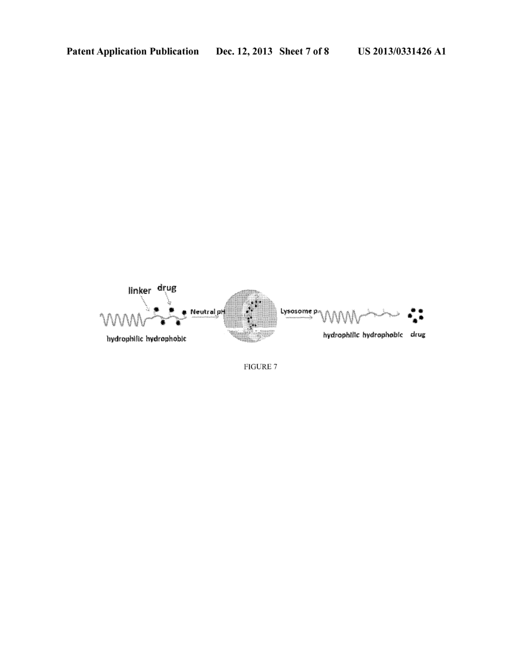 pH-SENSITIVE COMPOSITIONS FOR DELIVERY OF BETA LAPACHONE AND METHODS OF     USE - diagram, schematic, and image 08