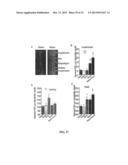 METHODS OF STIMULATING CELLULAR GROWTH, SYNAPTIC, REMODELING AND     CONSOLIDATION OF LONG-TERM MEMORY diagram and image